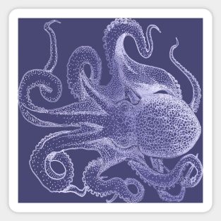 Blueprint Octopus Sticker